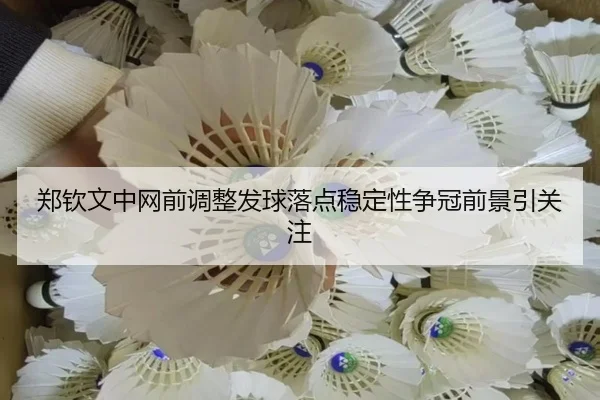 郑钦文中网前调整发球落点稳定性争冠前景引关注